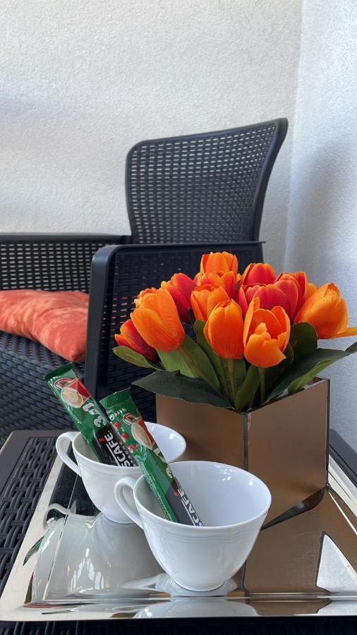 Apartman Venera Sombor Buitenkant foto